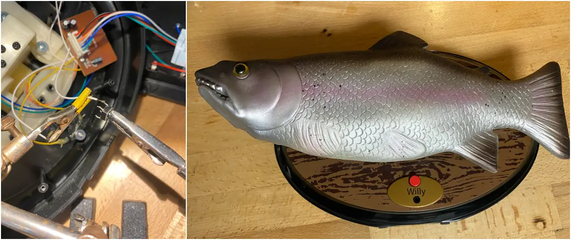 Das Bild zeigt die Fischreplik Willy